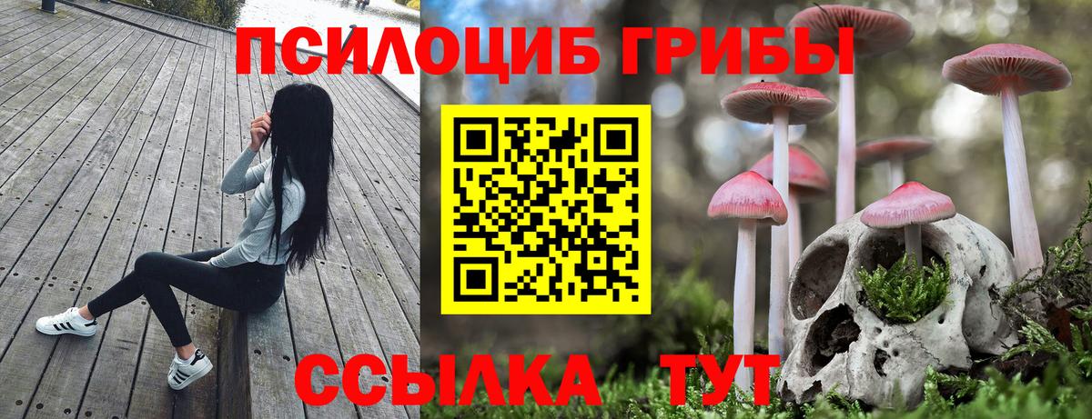 Галлюциногенные грибы Cubensis Барабинск