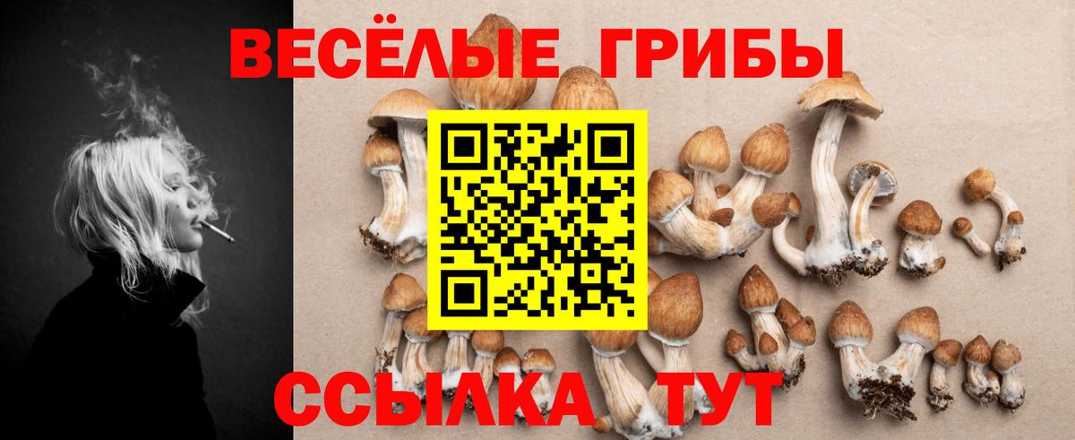 Барабинск  Псилоцибиновые грибы мухоморы  Вход с VPN  Псилоцибиновые грибы ЛСД 
